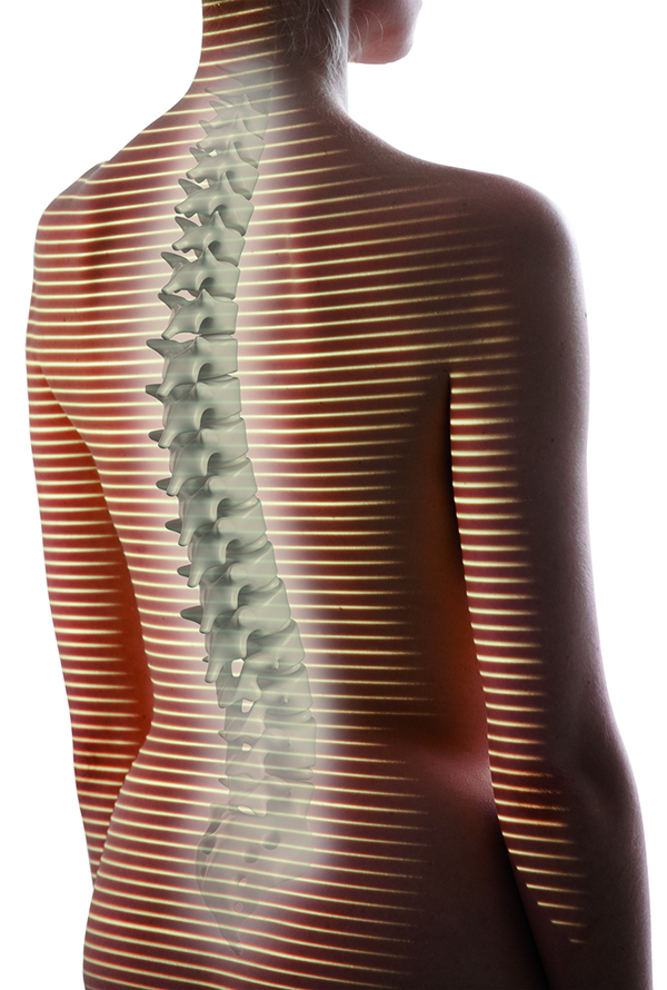 Lichtraster_3Dspine_15x10cm_cmyk.jpg