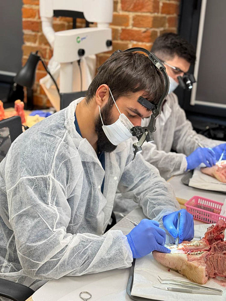 гузеев 25-26-8.jpg